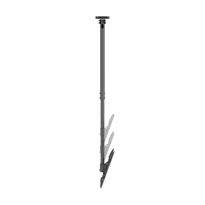 Wolff Mount Soporte de techo universal para TV – de 32 a 55 pulgadas – Giratorio e inclinable – También para techos inclinados