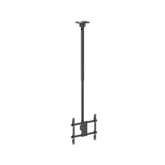 Wolff Mount Soporte de techo universal para TV – de 32 a 55 pulgadas – Giratorio e inclinable – También para techos inclinados