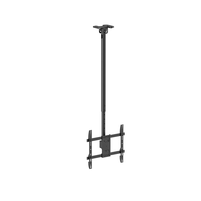 Wolff Mount Soporte de techo universal para TV – de 32 a 55 pulgadas – Giratorio e inclinable – También para techos inclinados