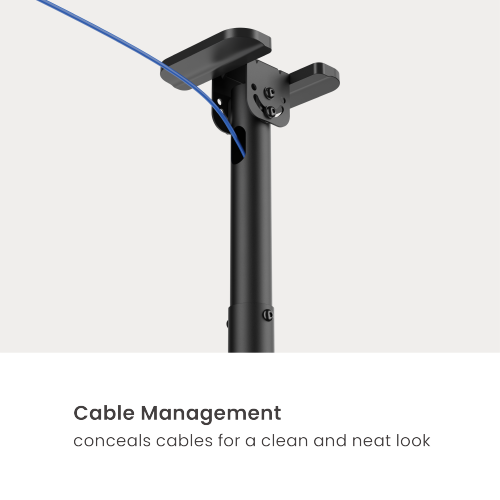 Wolff Mount Soporte de techo universal para TV – de 32 a 55 pulgadas – Giratorio e inclinable – También para techos inclinados